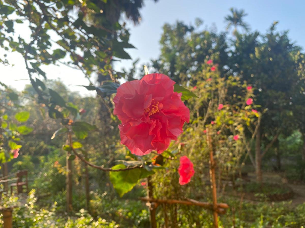Muong Bi Homestay Hòa Bình エクステリア 写真