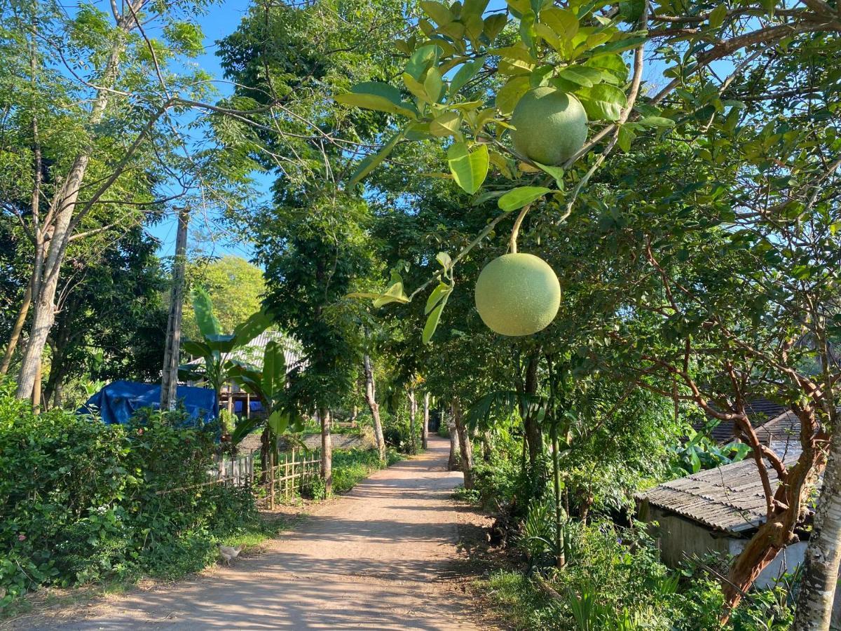 Muong Bi Homestay Hòa Bình エクステリア 写真