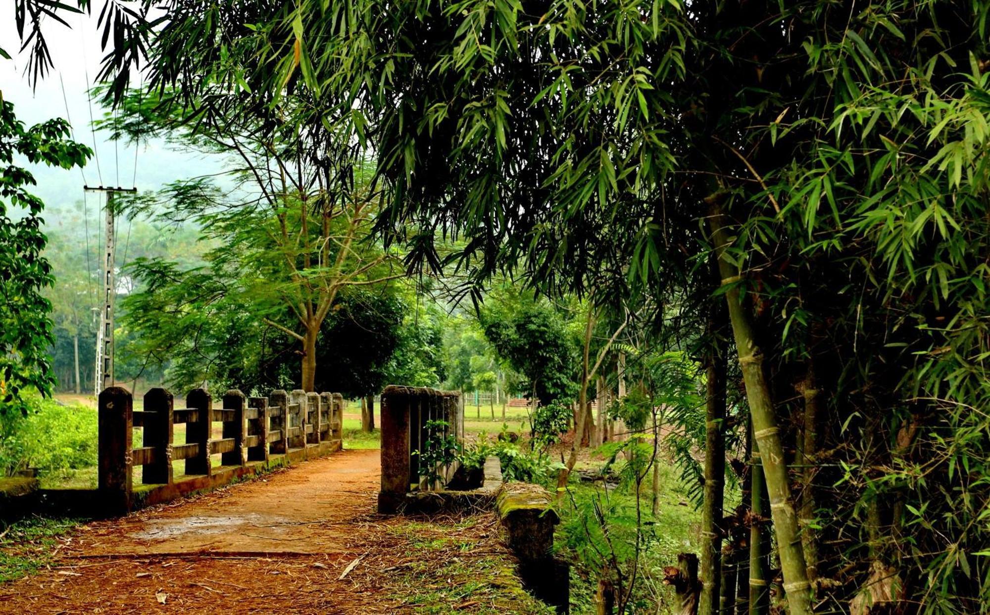 Muong Bi Homestay Hòa Bình エクステリア 写真