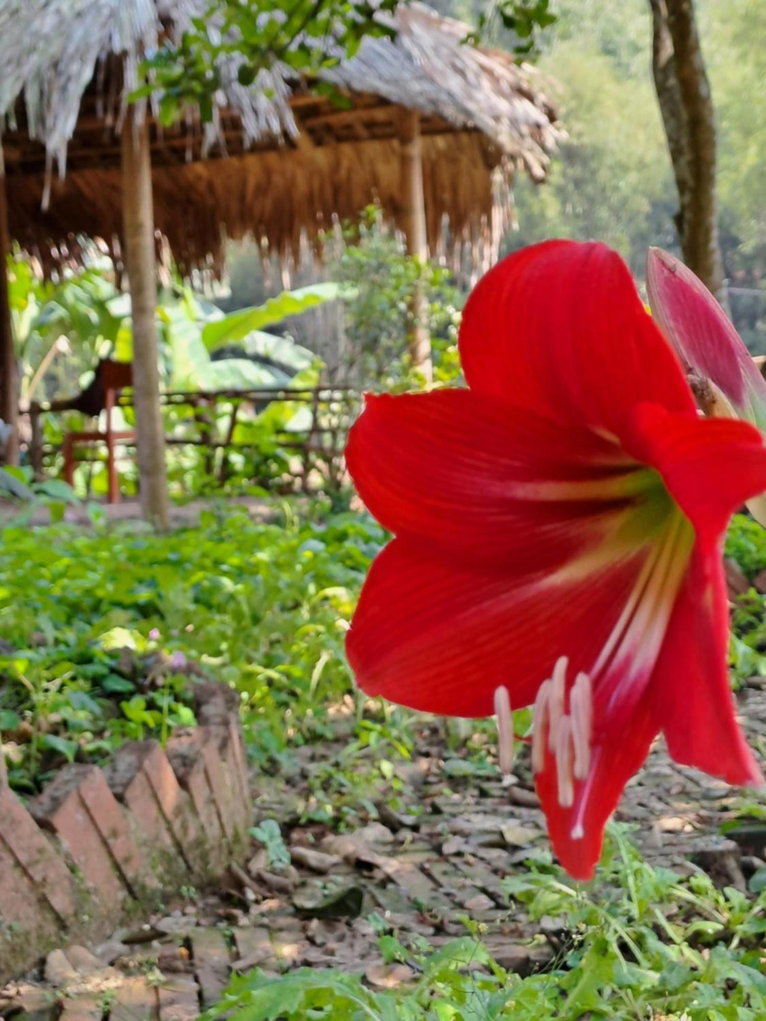 Muong Bi Homestay Hòa Bình エクステリア 写真