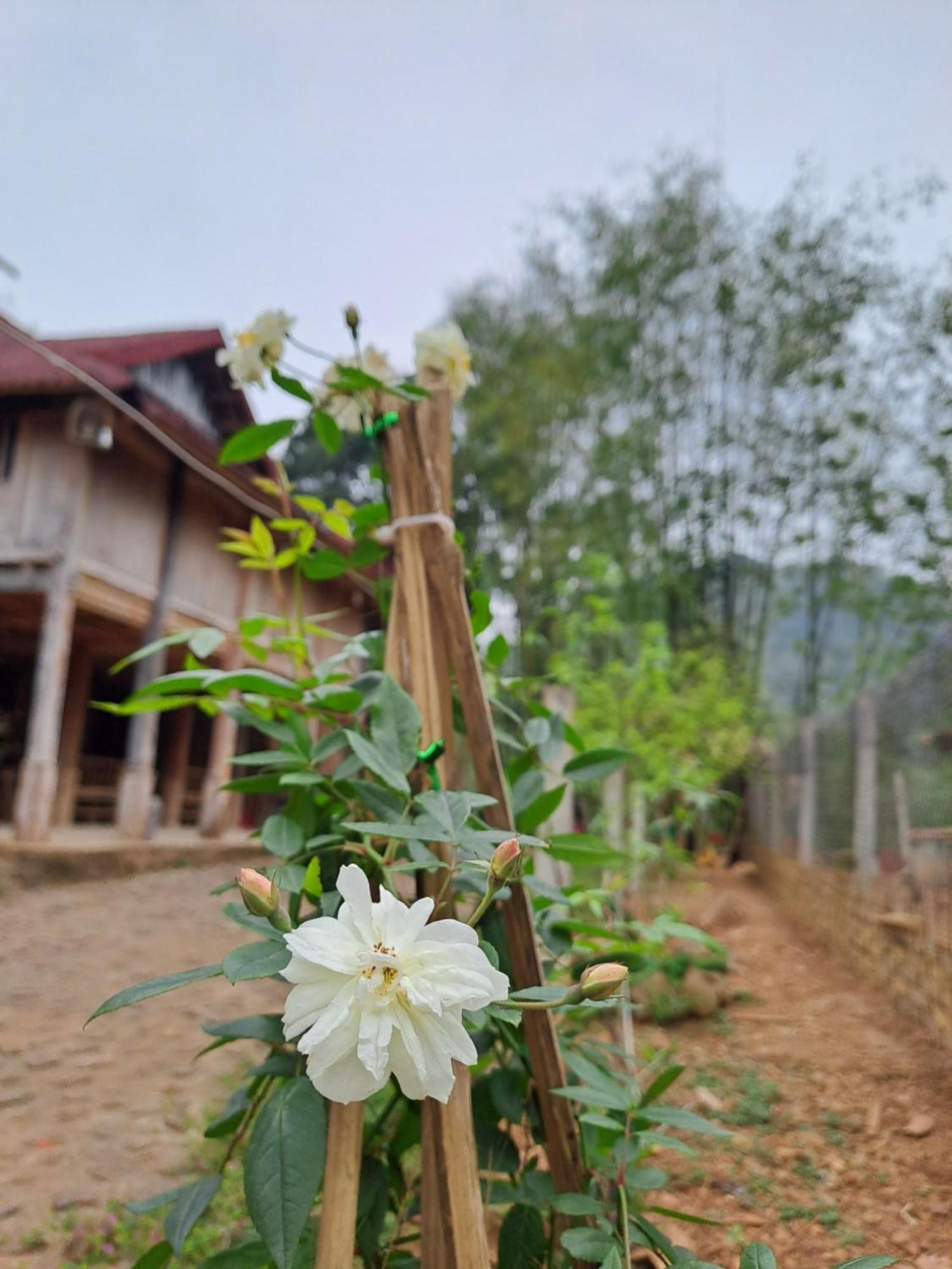 Muong Bi Homestay Hòa Bình エクステリア 写真
