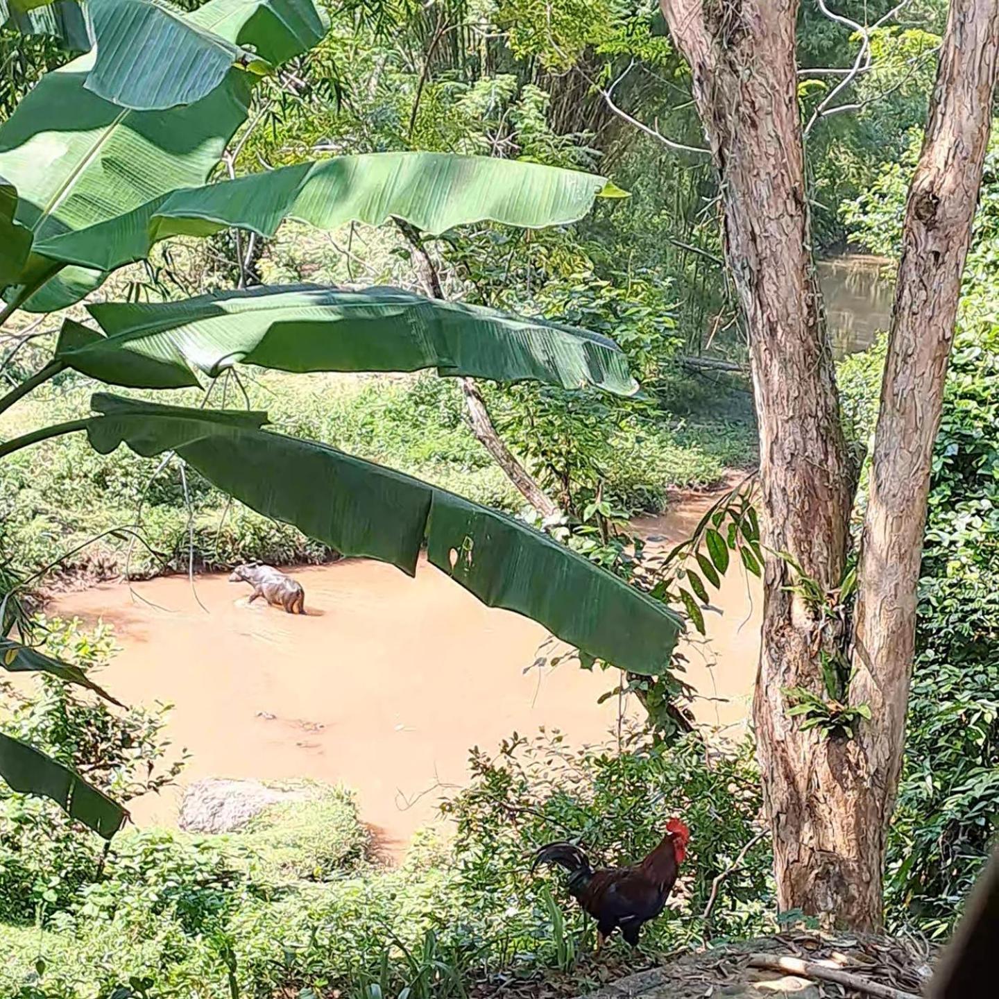 Muong Bi Homestay Hòa Bình エクステリア 写真
