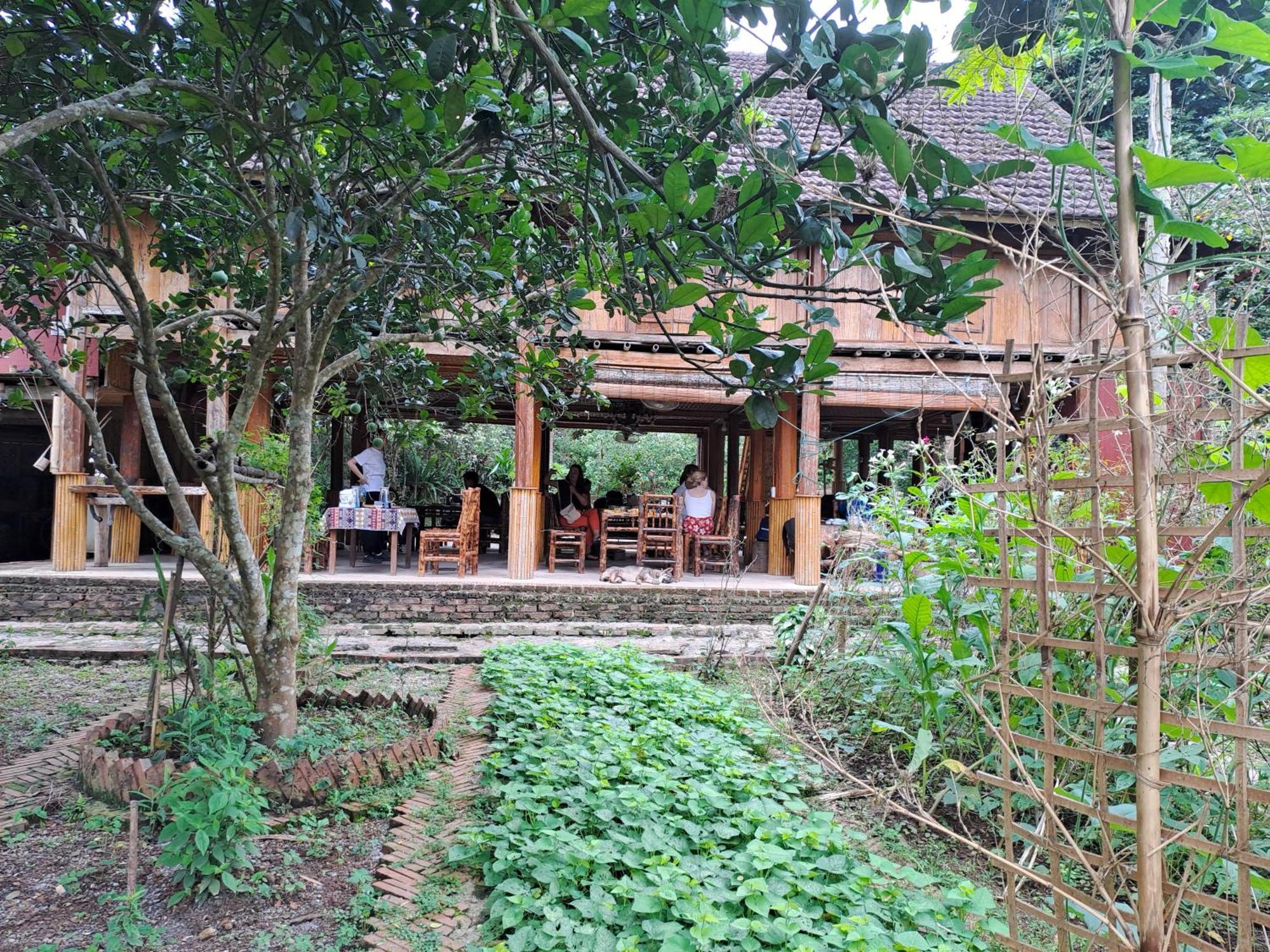 Muong Bi Homestay Hòa Bình エクステリア 写真