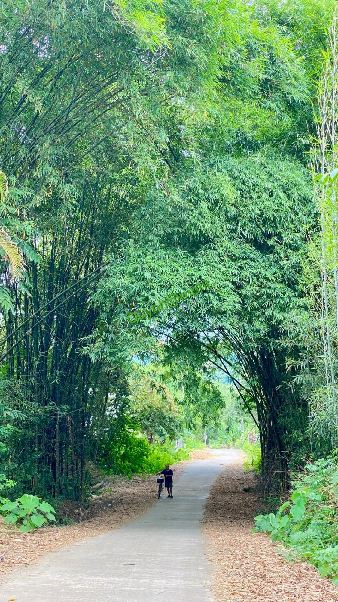 Muong Bi Homestay Hòa Bình エクステリア 写真