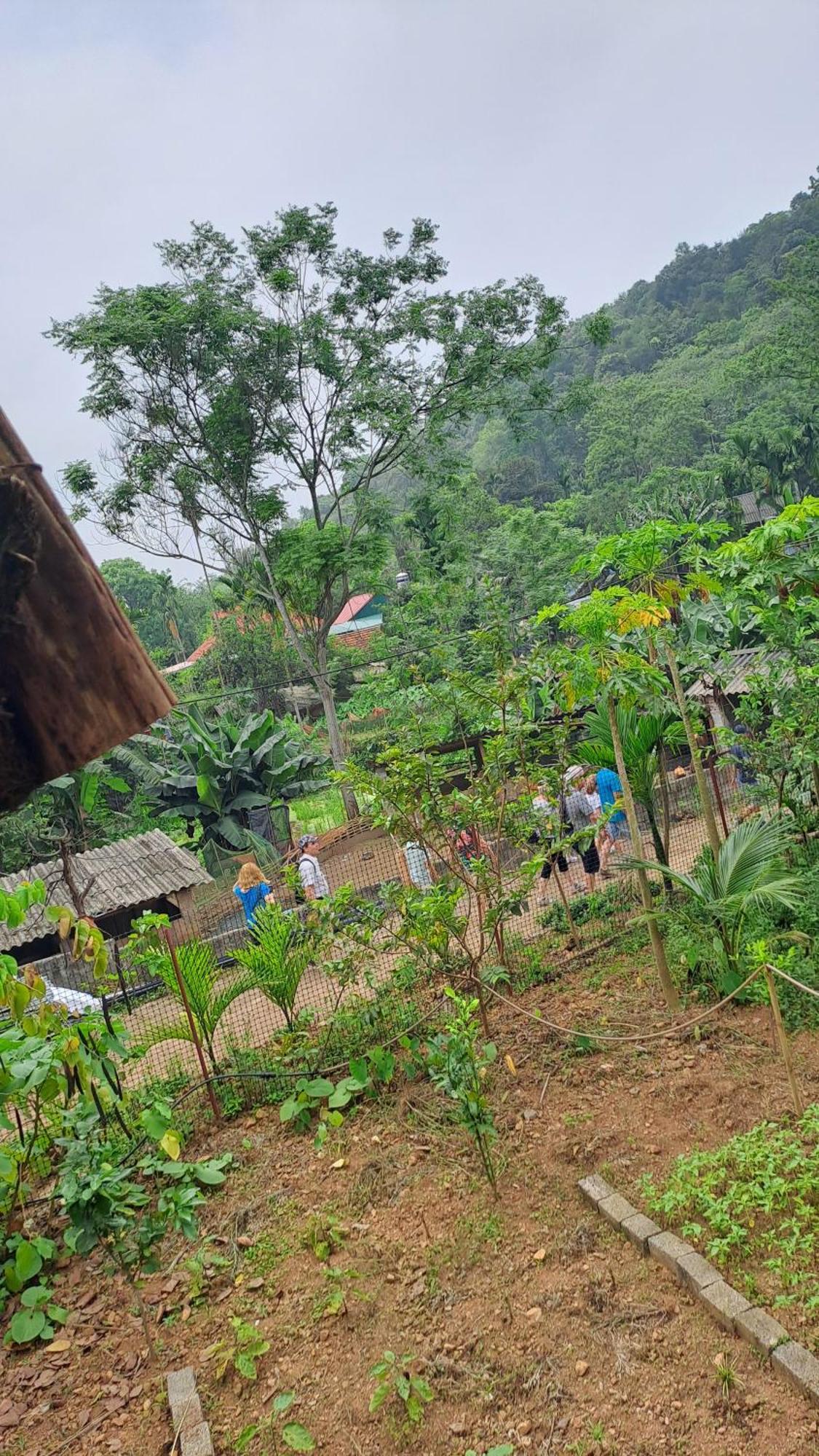 Muong Bi Homestay Hòa Bình エクステリア 写真