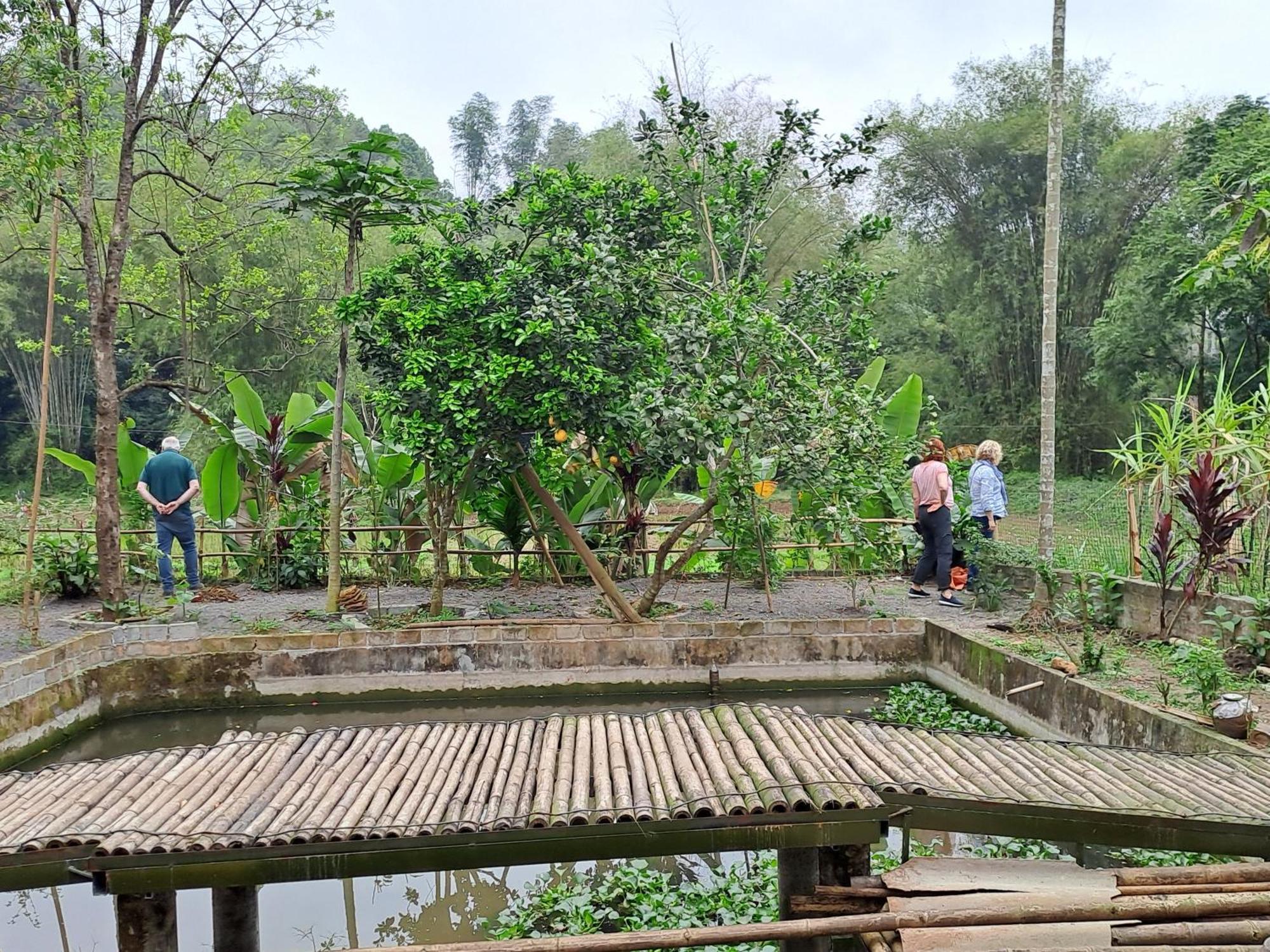 Muong Bi Homestay Hòa Bình エクステリア 写真